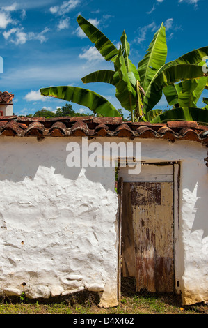 In vecchio stile coloniale parete bianca con cielo blu e banana tree Foto Stock