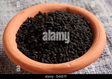 Nigella semi, chiamato anche Cumino Nero, Kalonji o semi di cipolla Foto Stock