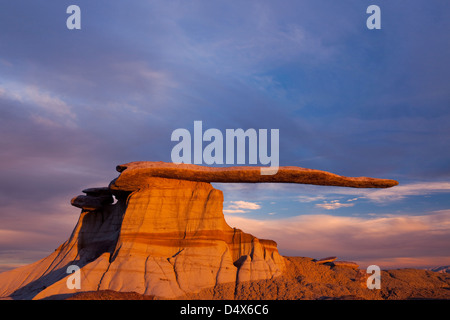 Il re delle ali, San Juan Bandlands del New Mexico Foto Stock