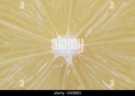 Extreme foto macro di una sezione di limone. Foto Stock