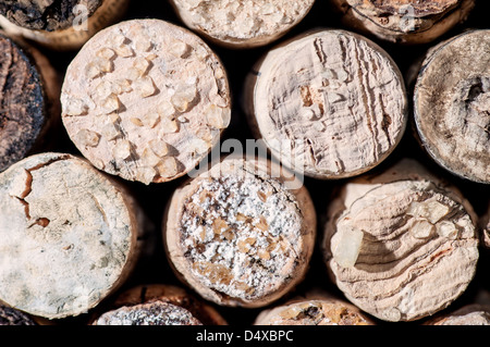 Acido vino cade fuori in vecchie bottiglie e si trasforma in cristalli sulla tappi e nel vino Foto Stock