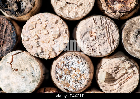 Acido vino cade fuori in vecchie bottiglie e si trasforma in cristalli sulla tappi e nel vino Foto Stock