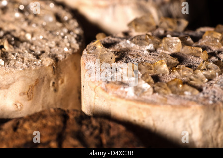 Acido vino cade fuori in vecchie bottiglie e si trasforma in cristalli sulla tappi e nel vino Foto Stock