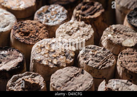 Acido vino cade fuori in vecchie bottiglie e si trasforma in cristalli sulla tappi e nel vino Foto Stock