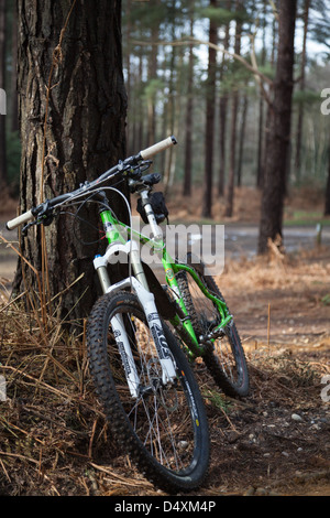 Mountain bike a Swinley Forest, vicino a Bracknell nel Berkshire Foto Stock
