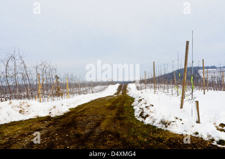 Meleto in inverno , Upstate New York Foto Stock