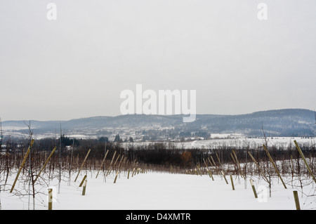 Meleto in inverno, Upstate New York Foto Stock