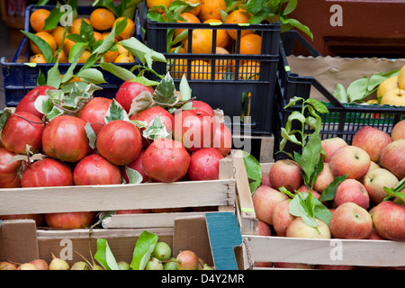 Close up di frutta fresca visualizzati in casse al di fuori di un negozio di alimentari a Massa Lubrense, Italia Foto Stock