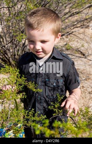 Un ragazzo autistico di 5 anni non tocca delicatamente i rami della struttura ad albero del deserto. Foto Stock