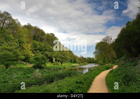 Creswell Crags Lago e Ice Age Grotte, verde primavera colori, Worksop, Nottinghamshire, Inghilterra Foto Stock