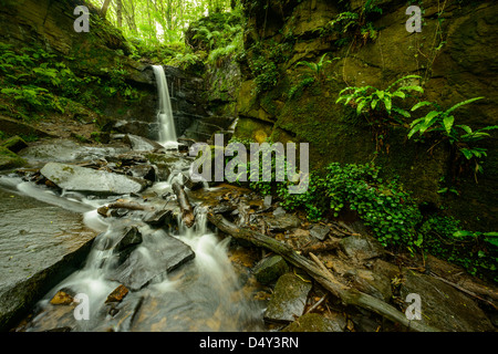 Cascata in Fairy Glen tra Parbold e Appley Bridge Lancashire Inghilterra Foto Stock