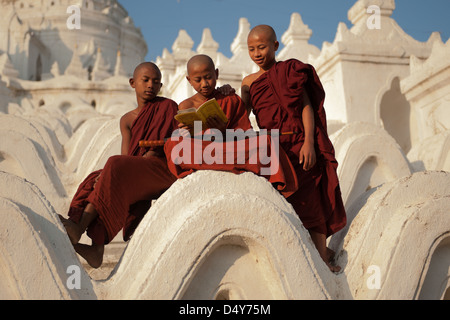 Tre giovani monaci lettura mentre seduti su le mura del monastero in Birmania noto anche come Myanmar Foto Stock