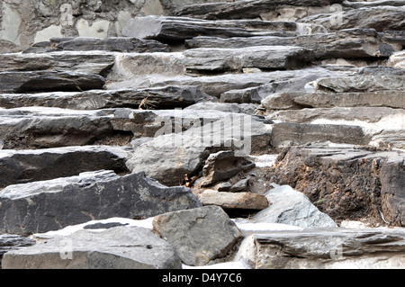 Di età compresa tra la parete di mattoni in diverse texture, può essere utilizzato come sfondo Foto Stock