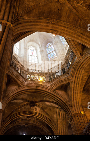 Il campanile ottagonale, la Cattedrale della Santa Croce e Sant'Eulalia. Cattedrale di Barcellona. Barcellona, Spagna. Foto Stock