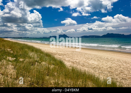 Spiagge di sabbia, Whangarei, Isola del nord, Nuova Zelanda Foto Stock