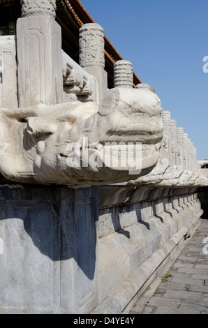 Cina, Pechino, Città Proibita. Palazzo interna parete con mitologica tradizionale pietra intagliata dragon facce. Foto Stock