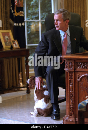 Il presidente George W. Bush animali domestici Spot mentre guardando fuori la finestra Lunedi, 1 ottobre 2001, dalla sua scrivania presso l'Ufficio ovale della Casa Bianca. Foto di Eric Draper, per gentile concessione della Biblioteca presidenziale George W. Bush Foto Stock