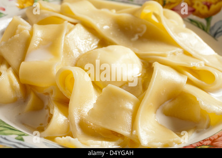 Melksynsels: South African dolce pasta cotta nel latte Foto Stock