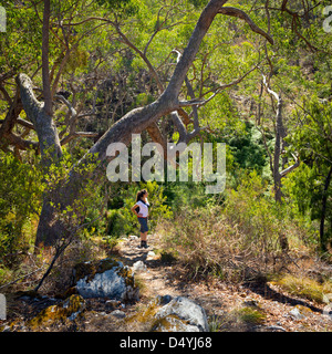 Giovane donna escursioni nel bush australiano Foto Stock