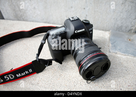 Canon 5D Mark II con EF 17-40mm f/4L USM. Foto Stock