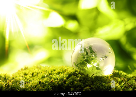 Globo di vetro in appoggio sul muschio pietra in una foresta Foto Stock