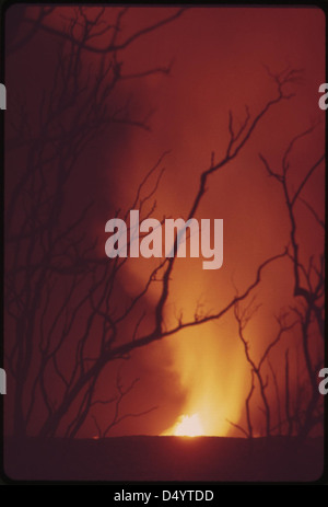 Una fotografia drammatica dell'eruzione di Mauna Loa nel novembre 1973, che mostra la lava calda che scorre dal vulcano e gli alberi in primo piano che sono stati distrutti dalle eruzioni precedenti. Foto Stock
