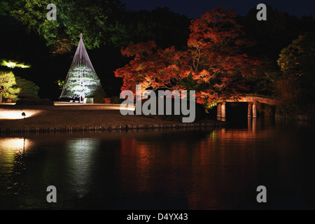Illuminazione notturna al giardino Rikugien, Tokyo Foto Stock