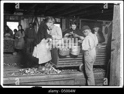 Poco Lottie, un regolare shucker oyster in Alabama Canning Co. Ella non parla inglese, Febbraio 1911 Foto Stock