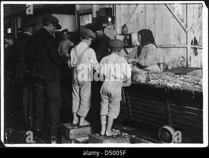 8 anno di età Max, uno dei raccoglitori di gamberetti. Solo una piccola forza era lavorando quel giorno, Febbraio 1911 Foto Stock