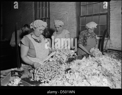 Mt. Holyoke, Massachusetts - Carta. La letteratura americana Paper Co. Rag ordinamento (Francese), 1936 Foto Stock