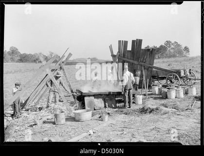 Metodo aggiornato di produzione di melasse nella fattoria di Fred Hatmaker. Questa fattoria sarà sotto l'acqua quando il serbatoio Norris Dam si riempie, ottobre 1933 Foto Stock