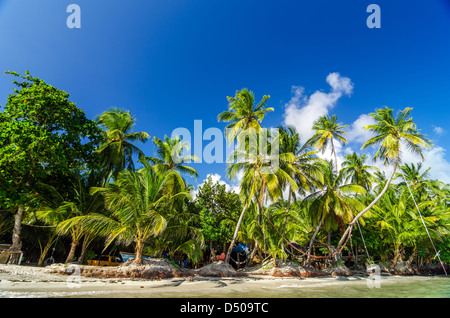 Gli alberi di palma sulla costa dei Caraibi con una appartata ristorante dietro di loro in San Andres y Providencia, Colombia Foto Stock