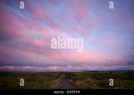Corsia rurale al tramonto, nella contea di Sligo, Irlanda. Foto Stock