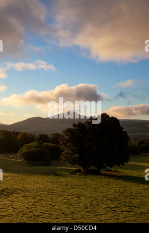 Alba sul grande la montagna Sugar Loaf da al Powerscourt estate, County Wicklow, Irlanda. Foto Stock