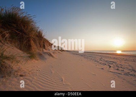 Inghilterra; NORFOLK; HOLKHAM; Spiaggia; tramonto; dune; erba; mare Foto Stock