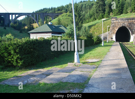 Viadukt Chmarossky con tunnel ferroviario anr ponte vicino villaggio Telgart in Slovacchia Foto Stock