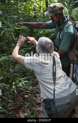 Eco-turistico con guida locale, fotografando un ragno mentre passeggiate in Iwokrama Centro internazionale per la conservazione della foresta pluviale Foto Stock