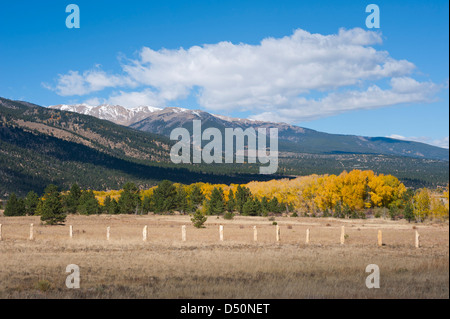 Montare Yale sentinella si erge sopra il piano della valle vicino a Buena Vista, Colorado. Foto Stock