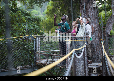 Iwokrama Pontile e ecotourists birdwatching con una guida locale. La piattaforma e il collegamento di bridging imbragati. La Guyana. Foto Stock