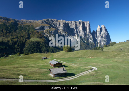 Compatsch, Italia, affacciato sul Schlernmassiv Foto Stock