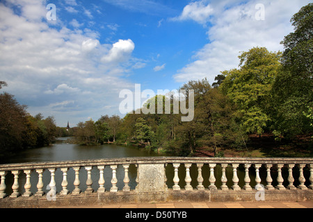 Verde primavera colori, il lago di Ponte a Clumber Park, Nottinghamshire, Inghilterra, Regno Unito, Foto Stock