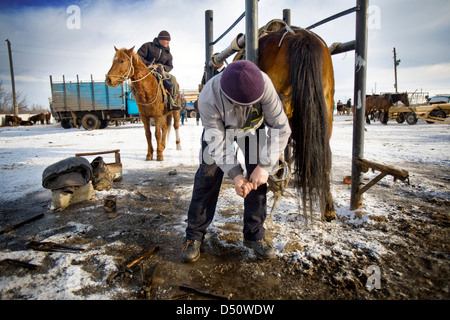 Un cavallo Cavaliere di prendere un periodo di riposo accanto al suo cavallo al mercato degli animali in Karakol, Kirghizistan Foto Stock