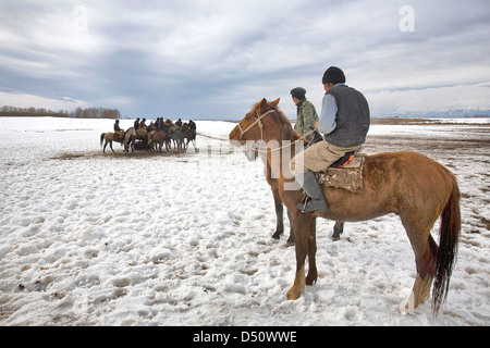 Repubblica del Kirghizistan le immagini del viaggio - Formazione in Karakol campi per Ulak Tartish, Kuk Pari, Kök Berü, Ulak Tyrtysh, Kok Boru. Foto Stock