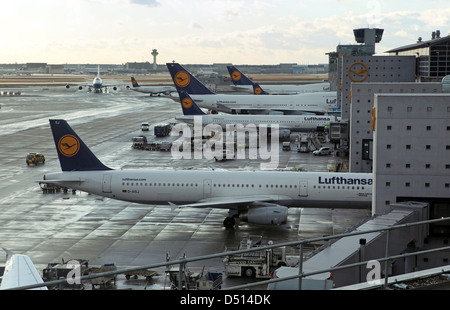 Frankfurt am Main, Germania, aerei Lufthansa all'aeroporto di Francoforte Foto Stock