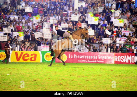 Gesù Maria, Argentina, pilota cerca su un cavallo di contraccolpi mantenendo Foto Stock