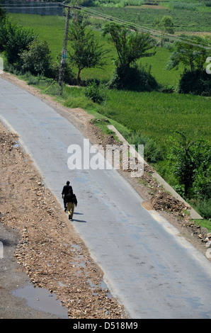 Di polizia sulla strada - valle di Swat, nel Nord Pakistan Foto Stock