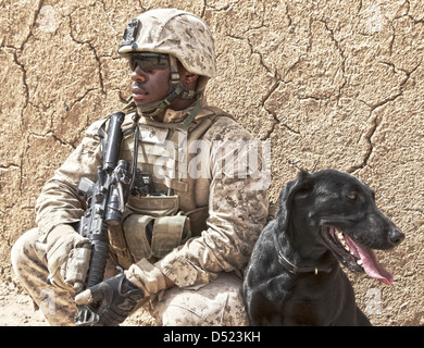 Noi lancia Marine Cpl. Thomas Foster prende un resto con suoi militari cane da lavoro diamante durante una pattuglia Marzo 6, 2013 in Boldak, Afghanistan. Foto Stock