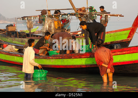 La mattina presto la cattura di una barca da pesca è atterrato presso il villaggio di giada Taw sulla baia del Bengala in Myanmar da guadare in. Foto Stock