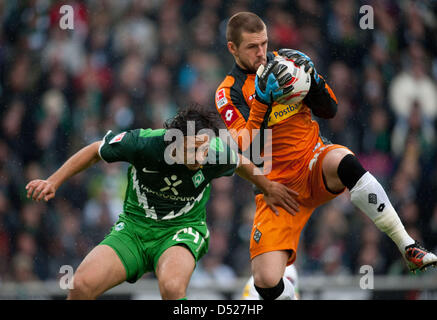 Brema Claudio Pizarro (L) e Moenchengladbach il portiere Logan Bailly si contendono la palla durante il match della Bundesliga Borussia Moenchengladbach vs. Werder Brema nel Borussia-Park in Moenchengladbach, Germania, 23 ottobre 2010. Foto: Bernd Thissen (ATTENZIONE: embargo condizioni! Il DFL permette l'ulteriore utilizzazione delle immagini nella IPTV, i servizi mobili e oth Foto Stock