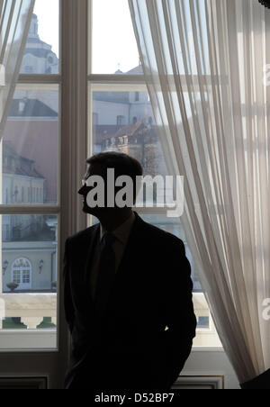 Il Ministro degli esteri tedesco Guido Westerwelle guarda fuori dalla finestra mentre si attende per un funzionario di parlare con il Presidente lituano Dalia Grybauskaite a Vilnius, Lituania, 2 novembre 2010. Vilnius è la seconda stazione su Westerwelle la due giorni di viaggio in Russia, Lituania e Bielorussia. Foto: Peer Grimm Foto Stock